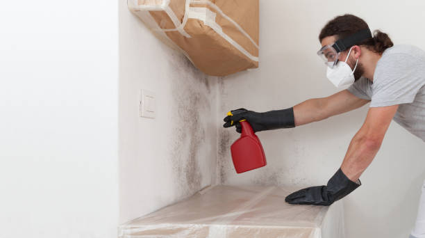 Professional Bathroom Mold Removal technician working in Lakewood, NJ